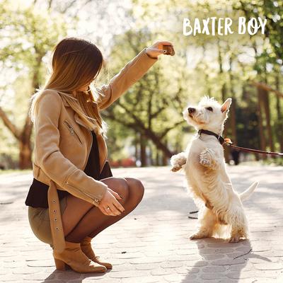 Show full view: Baxter Boy Pig Ear Slices Natural Dog Chew Treats, 8-oz bag slide 8 of 8