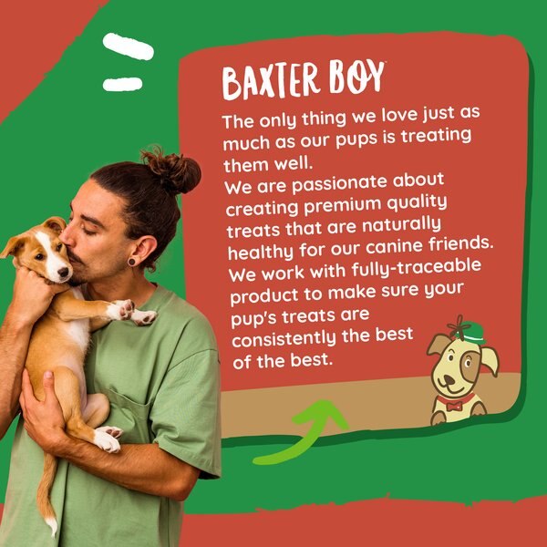 Baxter Boy Half Pig Ear Natural Dog Chew Treat