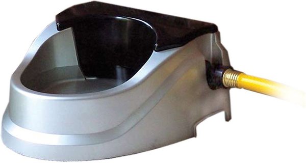 Show full view: Bear Bear Aqua Buddy Homelife Series Automatic Dog & Cat Waterer, 64-oz slide 1 of 3