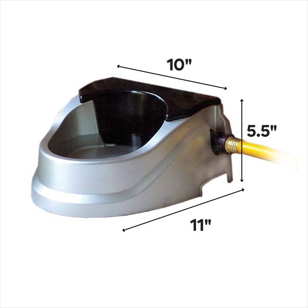 Show full view: Bear Bear Aqua Buddy Homelife Series Automatic Dog & Cat Waterer, 64-oz slide 2 of 3