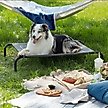 Show in main carousel: Bedsure Indoor & Outdoor Mesh Hammock with Skid-Resistant Feet Elevated Dog & Cat Bed, Grey, X-Large slide 6 of 9