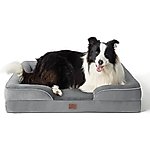Best Dog Couches & Sofa Beds