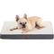 Show in main carousel: Bedsure Orthopedic Waterproof Dog & Cat Bed, Grey, Medium slide 1 of 8