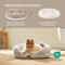 Show in main carousel: Bedsure Round Bolster Anti-Slip Puppy & Kitten Bed with Washable Pillow Cushion, Camel, Medium slide 3 of 10