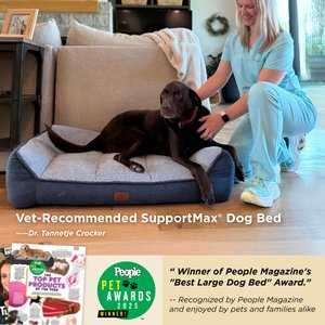 Bedsure SupportMax Orthopedic Removable Cover Dog Sofa Bed, Grey, Medium