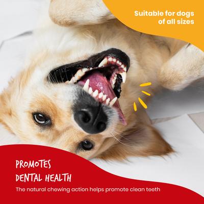 Show full view: Beefeaters Beefhide Twist Chicken Jerky Dog Treats, 36-oz bag slide 7 of 8