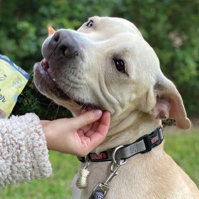 Show full view: Beg & Barker B&B Best Combo Human Grade Turkey Jerky & Pork Loin Strips Natural Single Ingredient Dog Treats, 4-oz, case of 2 slide 6 of 10