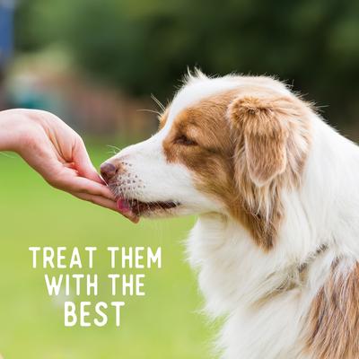 Show full view: Beg & Barker The Farmyard & Pasture Variety Whole Chicken Turkey & Beef Chips Natural Single Ingredient Dog Treats, 8-oz bag, case of 4 slide 6 of 11