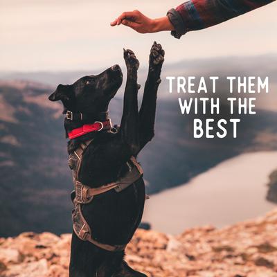 Show full view: Beg & Barker Whole Beef Chips All Natural Single Ingredient Dog Treats, 8-oz bag slide 6 of 11