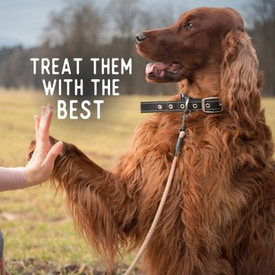 Show full view: Beg & Barker Whole Pork Chips All Natural Single Ingredient Dog Treats, 8-oz bag slide 6 of 11