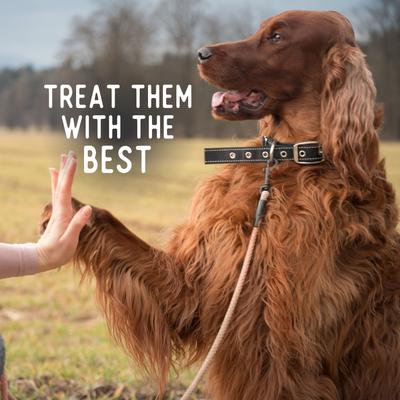 Show full view: Beg & Barker Whole Pork Chips Natural Single Ingredient Dog Treats, 3.5-oz, case of 4 slide 6 of 11