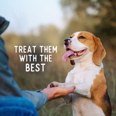 Show full view: Beg & Barker Whole Turkey Chips Natural Single Ingredient Dog Treats, 3.5-oz, case of 4 slide 6 of 11