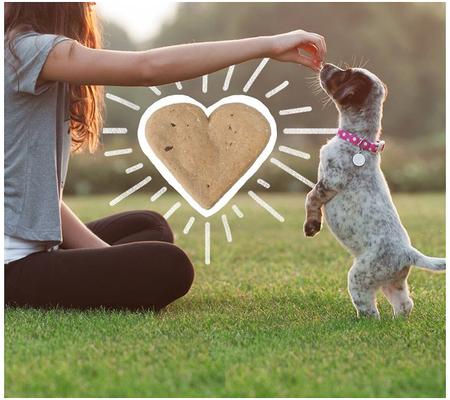 Show full view: Beggar Dog Gobbled Up Turkey Meal & Brown Rice Crunchy Dog Treats, 16-oz box slide 9 of 10