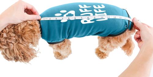 Show full view: BellyGuard Recovery Suit Post-Surgery Dog Onesie, Blue, Large slide 6 of 10