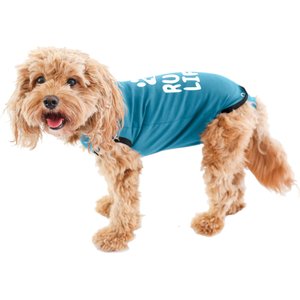 BellyGuard Recovery Suit Post-Surgery Dog Onesie, Blue, Medium