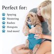 Show in main carousel: BellyGuard Recovery Suit Post-Surgery Dog Onesie, Blue, Medium slide 3 of 9
