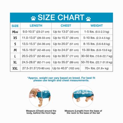 Show full view: BellyGuard Recovery Suit Post-Surgery Dog Onesie, Blue, Medium slide 5 of 10