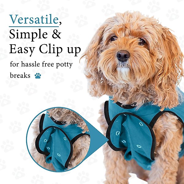 Show full view: BellyGuard Recovery Suit Post-Surgery Dog Onesie, Blue, Medium slide 8 of 9