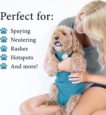 Show full view: BellyGuard Recovery Suit Post-Surgery Dog Onesie, Blue, Mini slide 4 of 10