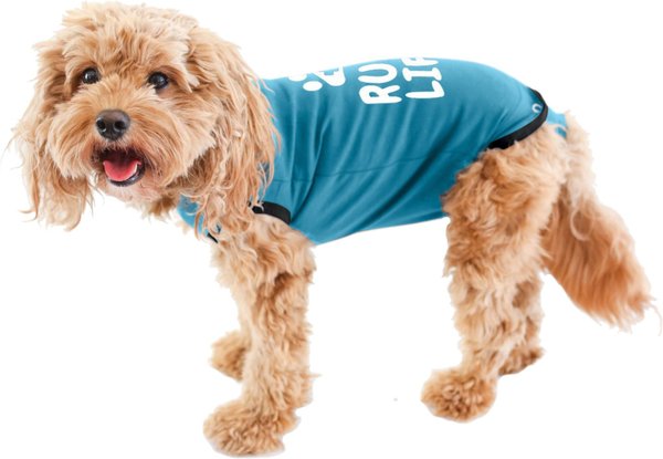 Show full view: BellyGuard Recovery Suit Post-Surgery Dog Onesie, Blue, Small slide 1 of 9