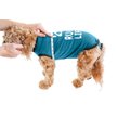 Show in main carousel: BellyGuard Recovery Suit Post-Surgery Dog Onesie, Blue, Small slide 6 of 9