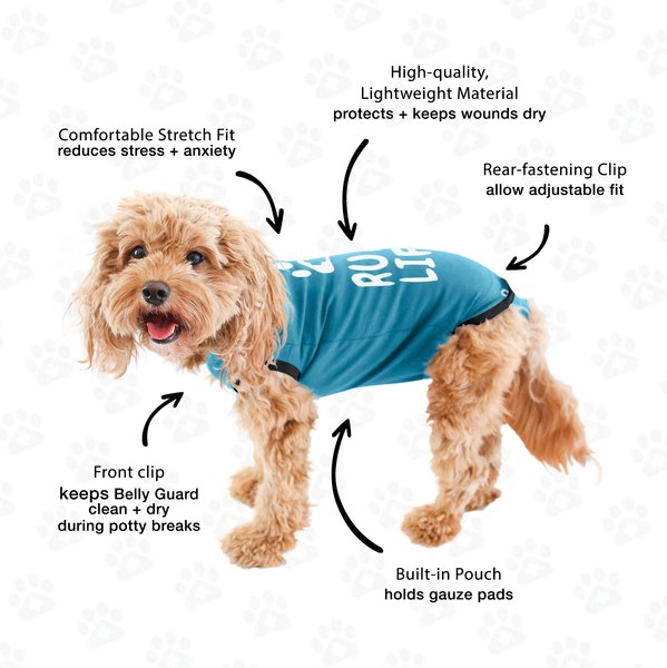 Show full view: BellyGuard Recovery Suit Post-Surgery Dog Onesie, Blue, Small slide 7 of 9