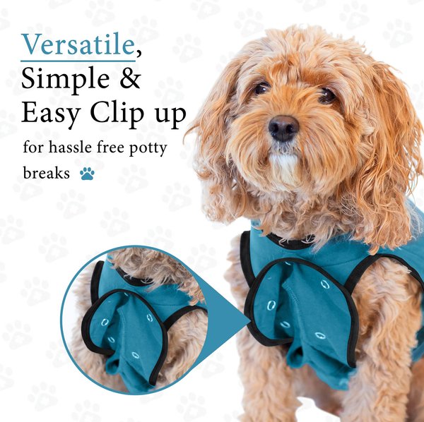 Show full view: BellyGuard Recovery Suit Post-Surgery Dog Onesie, Blue, Small slide 8 of 9