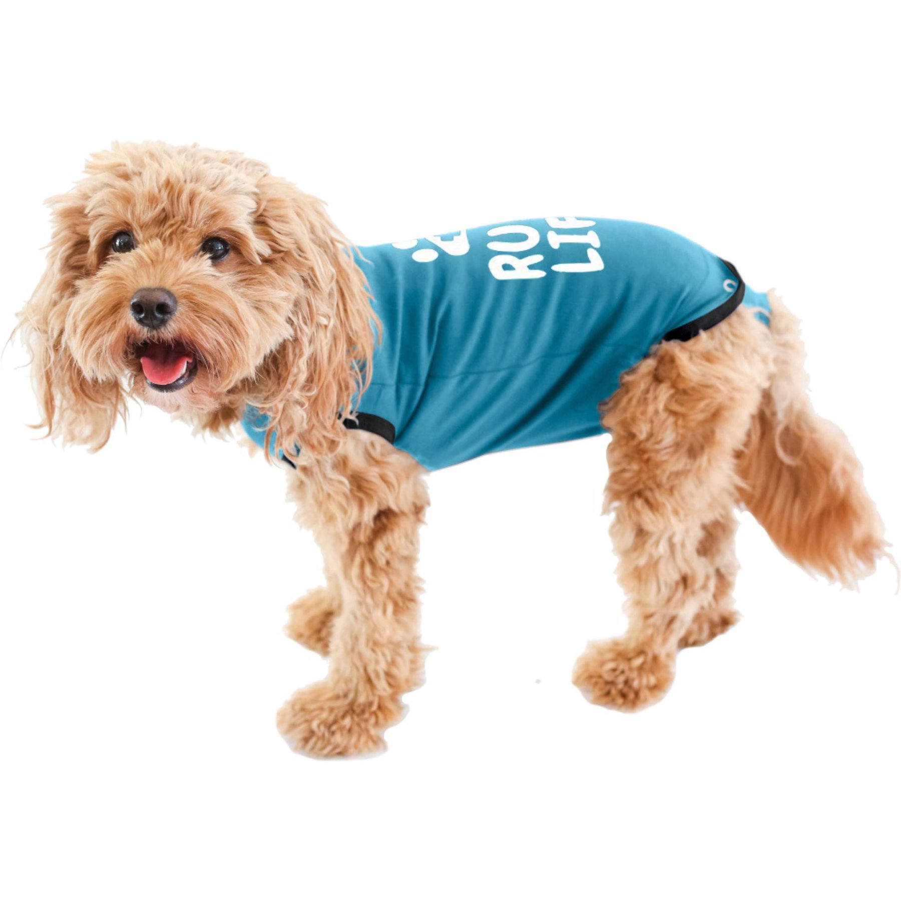 BellyGuard Recovery Suit Post-Surgery Dog Onesie, Blue, X-Large