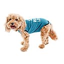 BellyGuard Recovery Suit Post-Surgery Dog Onesie, Blue, XX-Large