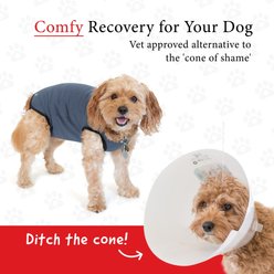 BellyGuard Recovery Suit Post-Surgery Dog Onesie, Grey, Large slide 2 of 8