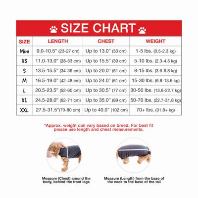 Show full view: BellyGuard Recovery Suit Post-Surgery Dog Onesie, Grey, Large slide 5 of 10