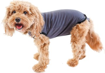 BellyGuard Recovery Suit Post-Surgery Dog Onesie, Grey, Medium