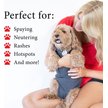 Show in main carousel: BellyGuard Recovery Suit Post-Surgery Dog Onesie, Grey, Medium slide 3 of 9