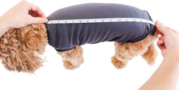 Show full view: BellyGuard Recovery Suit Post-Surgery Dog Onesie, Grey, Medium slide 5 of 9