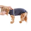 Show in main carousel: BellyGuard Recovery Suit Post-Surgery Dog Onesie, Grey, Medium slide 6 of 9
