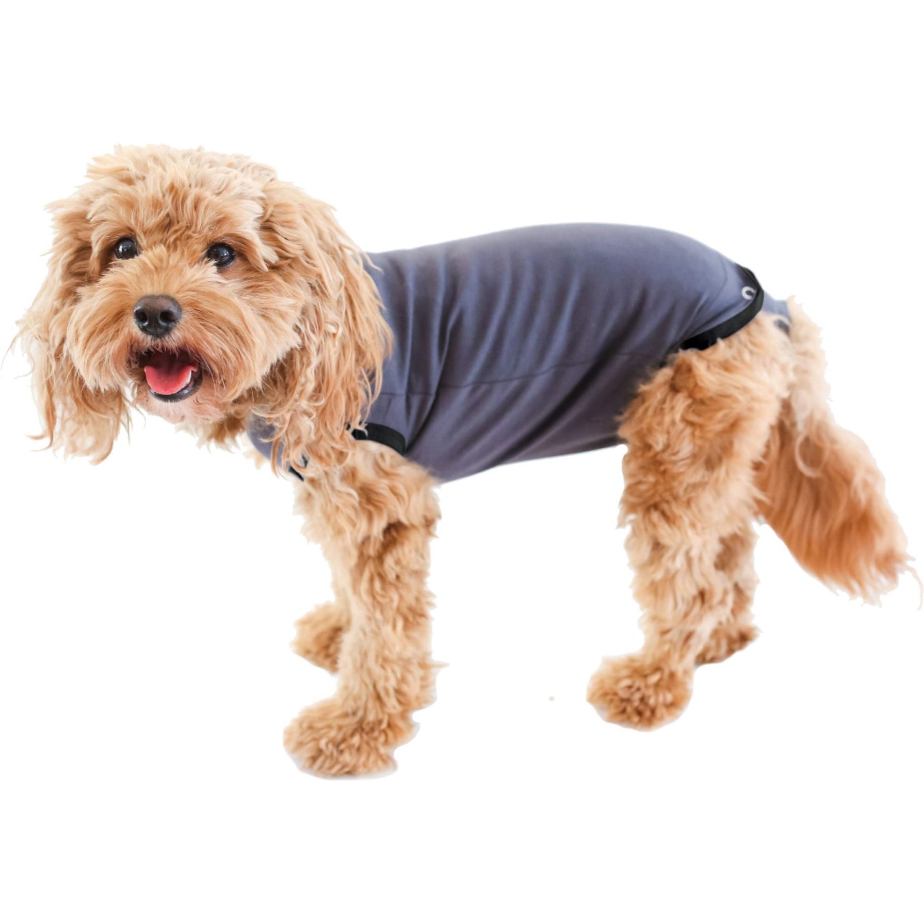 BellyGuard Recovery Suit Post-Surgery Dog Onesie, Grey, Small