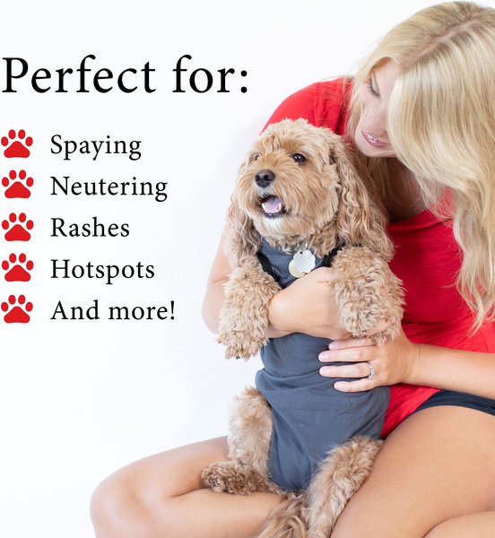 BellyGuard Onesie Dog Recovery Apparel, Grey