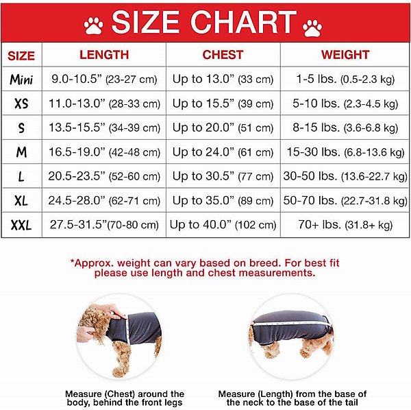 BellyGuard Onesie Dog Recovery Apparel, Grey