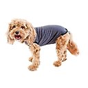 BellyGuard Recovery Suit Post-Surgery Dog Onesie, Grey, X-Small
