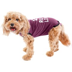 BellyGuard Recovery Suit Post-Surgery Dog Onesie, Maroon, Medium