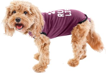 BellyGuard Recovery Suit Post-Surgery Dog Onesie, Maroon, Medium