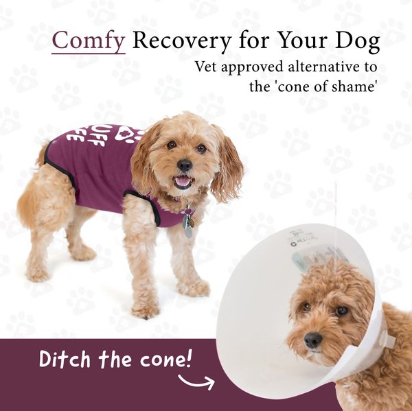 Show full view: BellyGuard Recovery Suit Post-Surgery Dog Onesie, Maroon, Medium slide 2 of 9