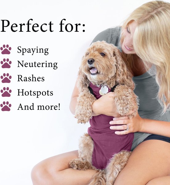 Show full view: BellyGuard Recovery Suit Post-Surgery Dog Onesie, Maroon, Medium slide 3 of 9