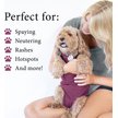 Show in main carousel: BellyGuard Recovery Suit Post-Surgery Dog Onesie, Maroon, Medium slide 3 of 9