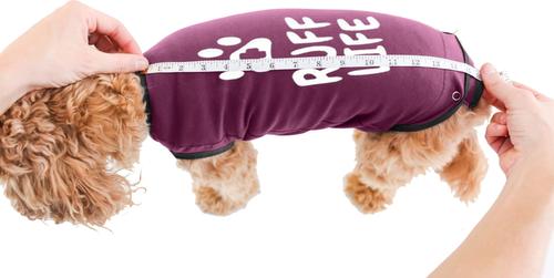 Show full view: BellyGuard Recovery Suit Post-Surgery Dog Onesie, Maroon, Medium slide 6 of 10
