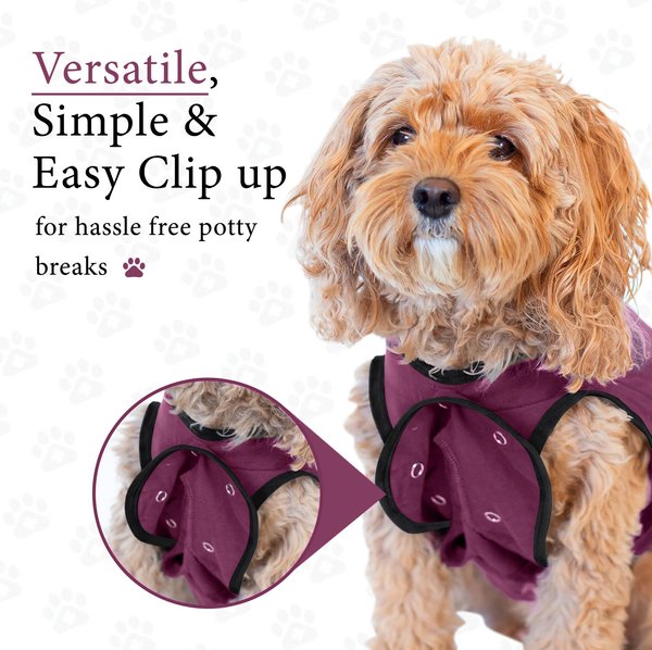 Show full view: BellyGuard Recovery Suit Post-Surgery Dog Onesie, Maroon, Medium slide 8 of 9