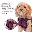 Show in main carousel: BellyGuard Recovery Suit Post-Surgery Dog Onesie, Maroon, Medium slide 8 of 9