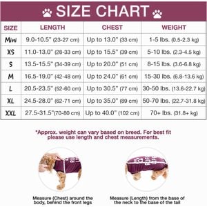 BellyGuard Recovery Suit Post-Surgery Dog Onesie, Maroon, Mini