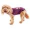 Show in main carousel: BellyGuard Recovery Suit Post-Surgery Dog Onesie, Maroon, Small slide 1 of 10