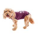 BellyGuard Recovery Suit Post-Surgery Dog Onesie, Maroon, Small